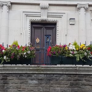 Town Hall planters in full bloom 2019