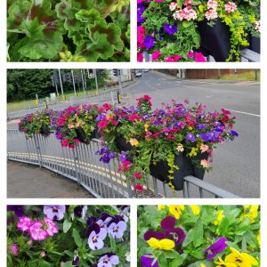 Floral Display collage 2020