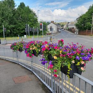 Rail Planters at Aberbargoed 2020