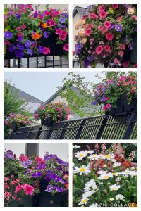 Floral display on railings in Bargoed