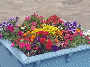 CLOSE UP OF FLOWER BOX