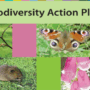 Biodiversity Report and Action Plan Published