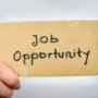 Job Opportunity